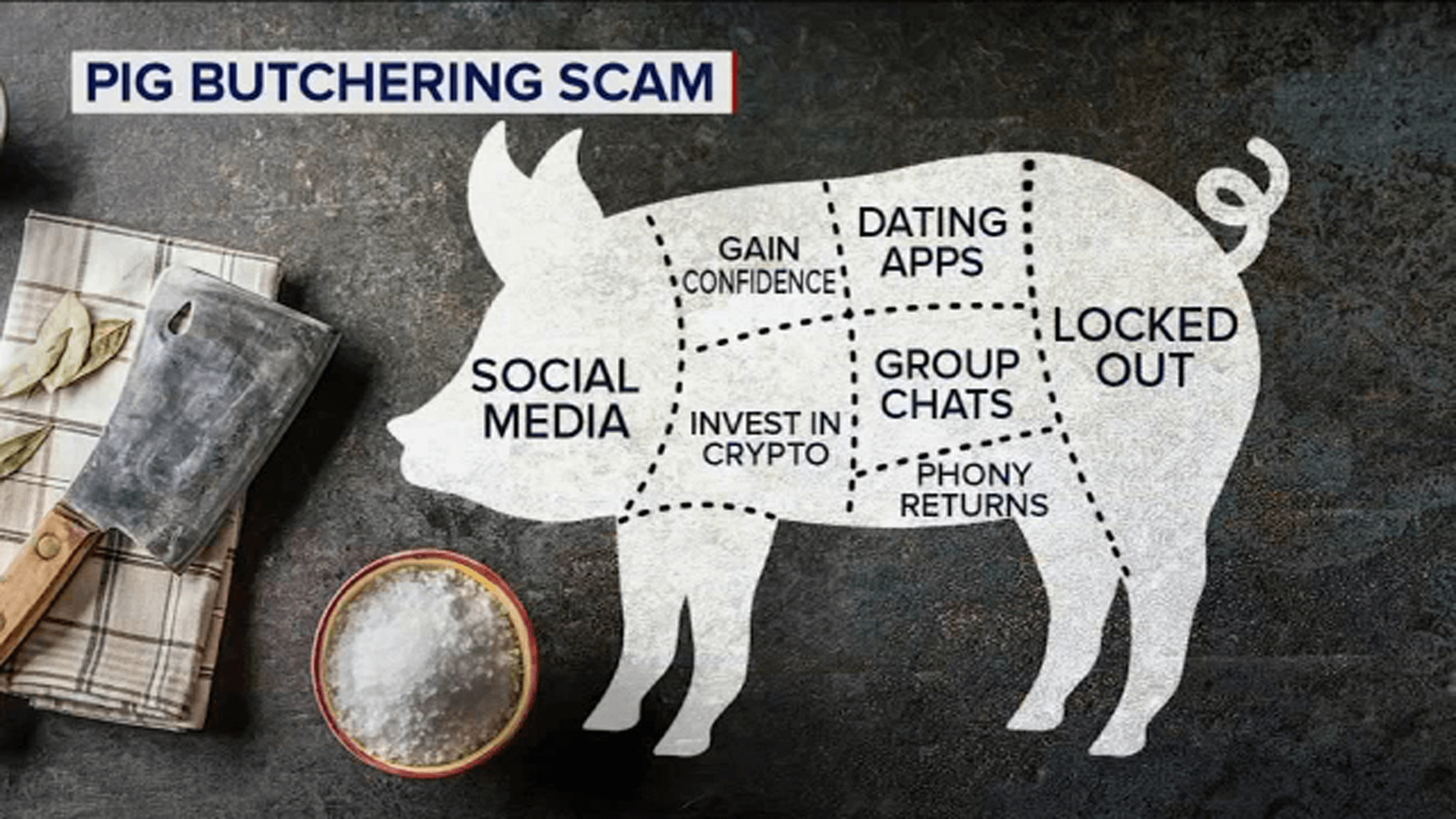 Illustration of a pig labeled with scam tactics, representing the 'Pig Butchering' crypto scam. Sections include social media, dating apps, gaining confidence, group chats, fake returns, and victims being locked out