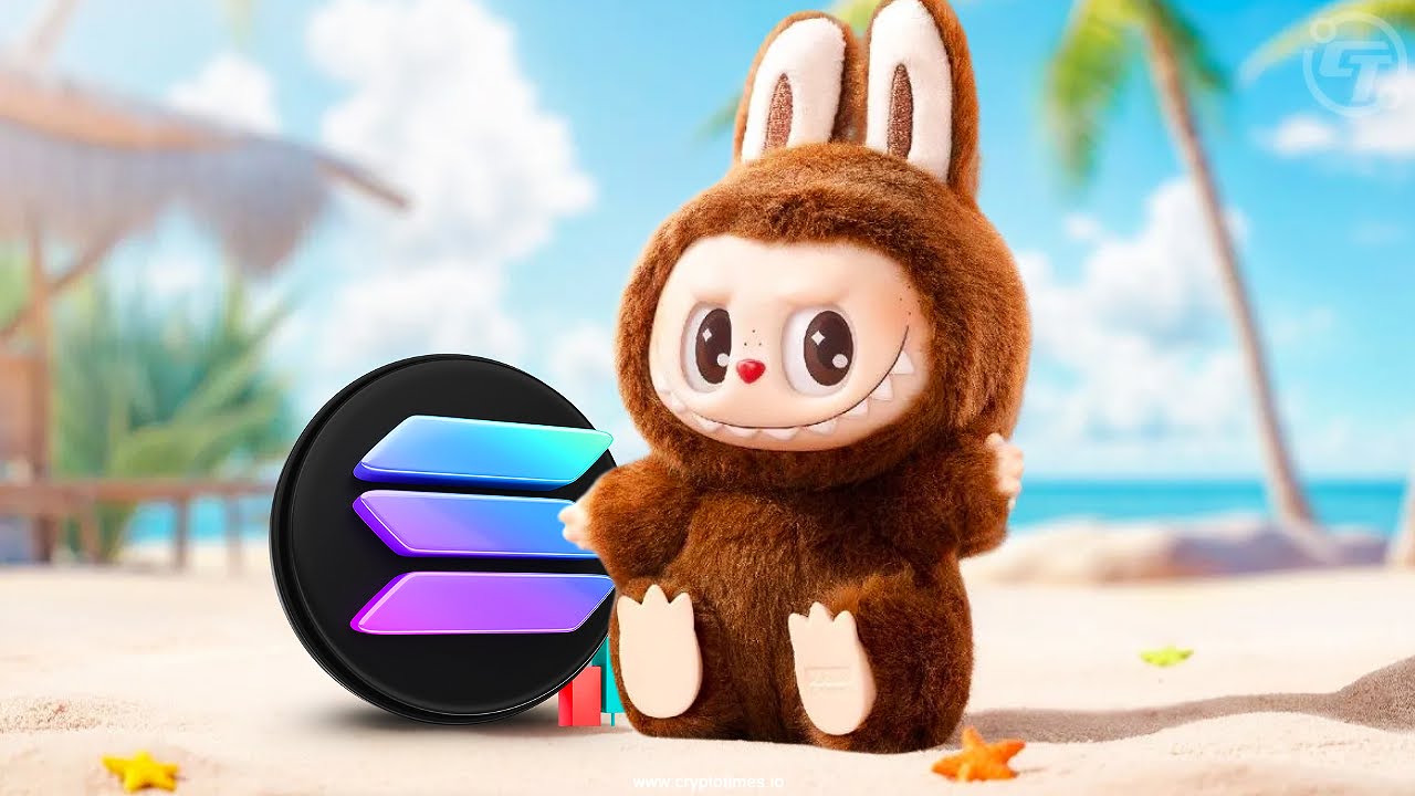 Cute plush toy dressed as a bunny next to the Solana logo on a tropical beach, suggesting a playful memecoin campaign.