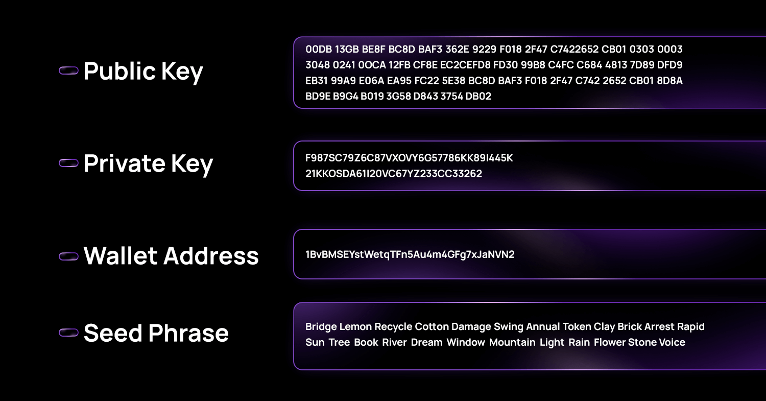 Visual example of public key, private key, wallet address and seed phrase used in crypto security