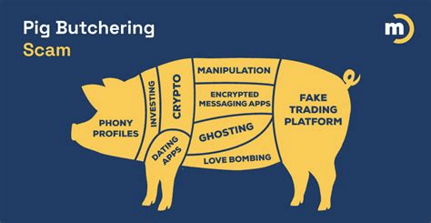 Diagram of a pig labeled with elements of a pig butchering scam, including fake trading platforms, encrypted messaging apps, crypto, love bombing, ghosting, dating apps, and phony profiles. Visual metaphor for romance baiting crypto scam