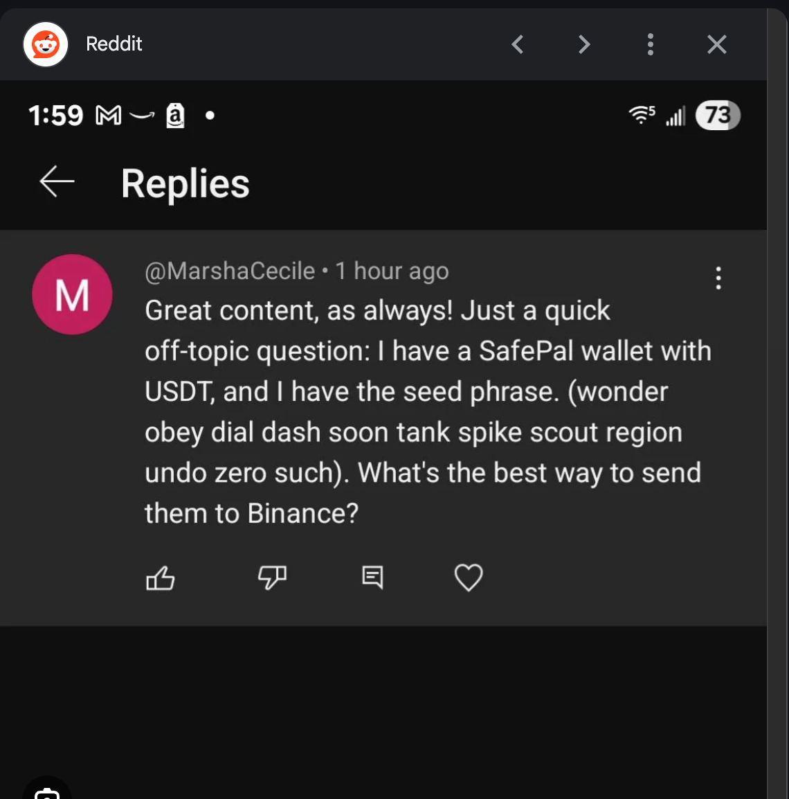 Reddit comment showing a seed phrase and asking how to send USDT to Binance — likely part of a seed phrase scam