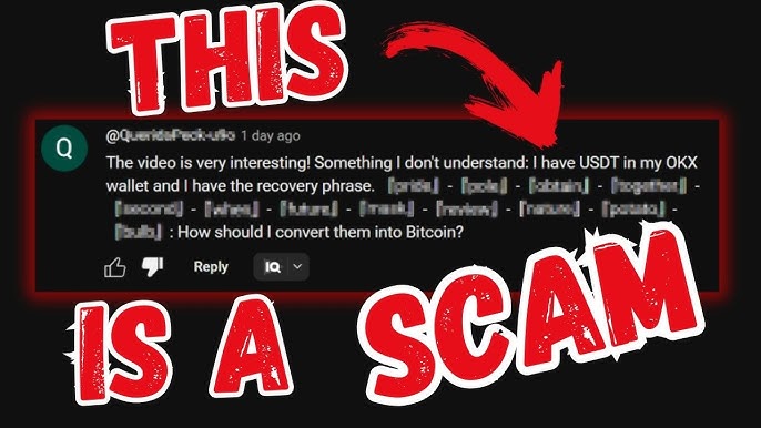 Warning image highlighting a YouTube comment scam where a user pretends to ask for help moving USDT from an OKX wallet using a visible seed phrase, with bold red text saying 'THIS IS A SCAM