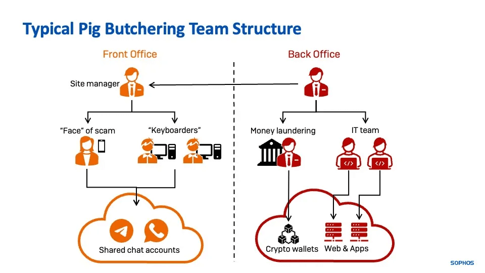 Diagram showing typical pig butchering scam team structure with front office roles like site manager and keyboarders, and back office roles handling money laundering and crypto infrastructure
